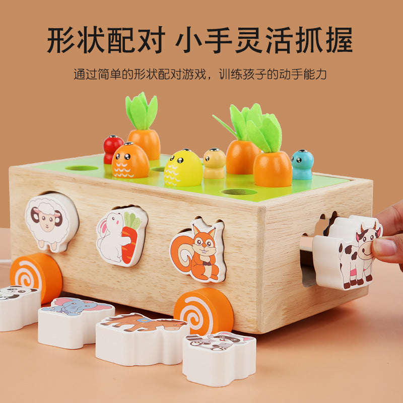 Kids Wooden Activity Toy Set