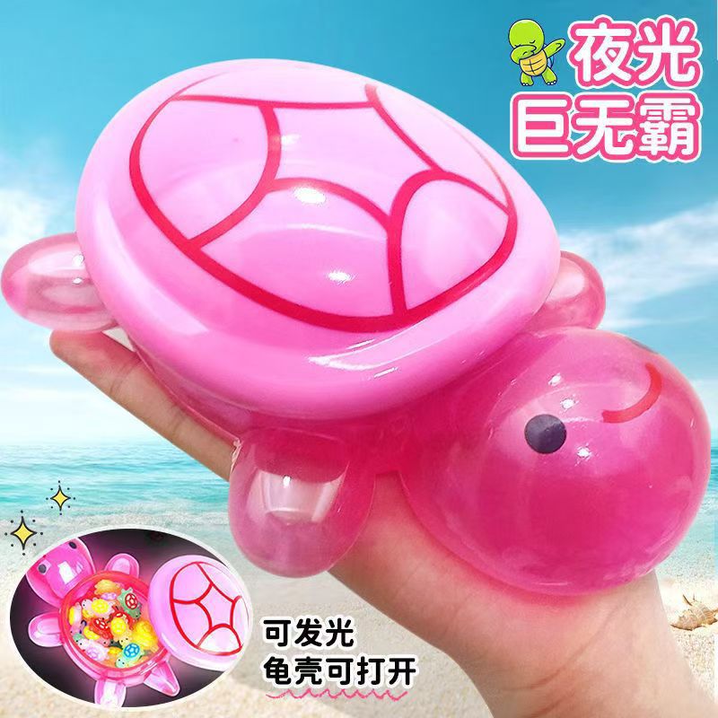 Light-Up Touch Turtle Toy