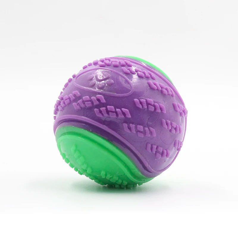 Squeaky Dog Ball Toy
