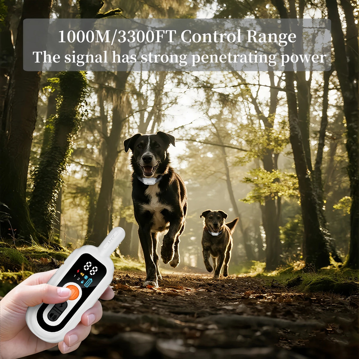 Remote Control Dog Training Collar