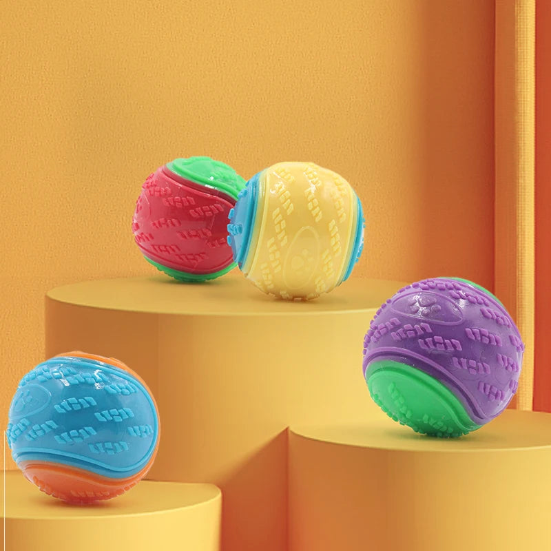 Squeaky Dog Ball Toy