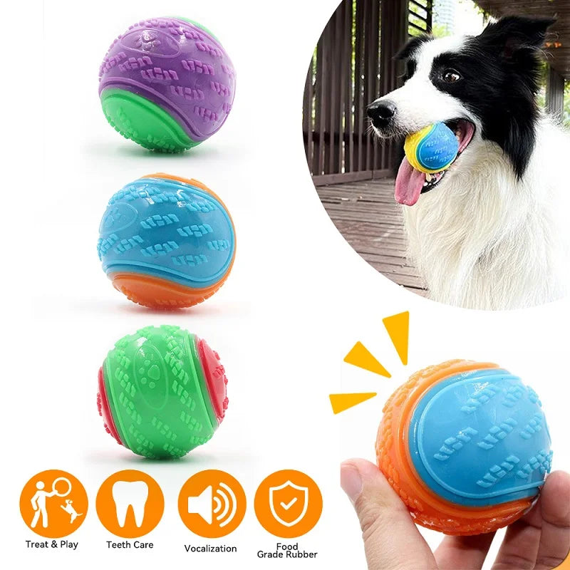 Squeaky Dog Ball Toy