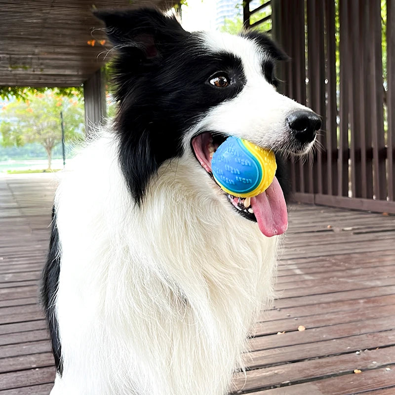 Squeaky Dog Ball Toy