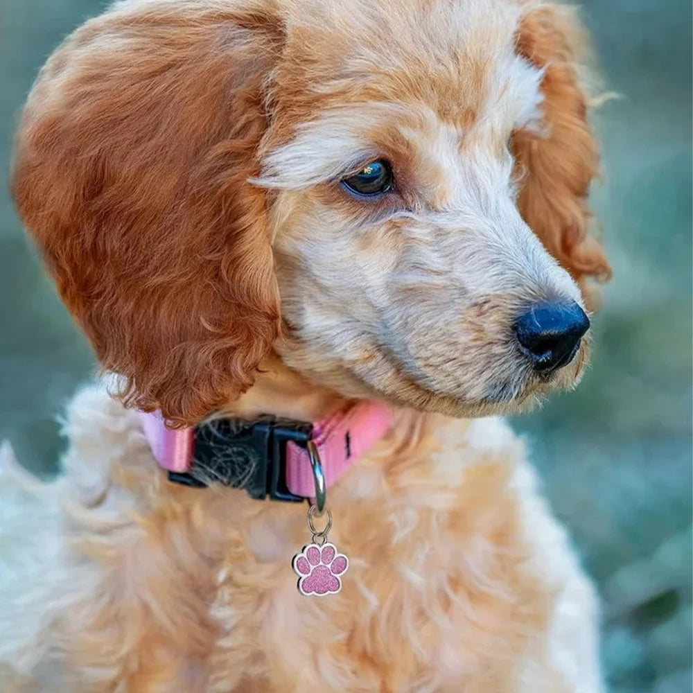 Personalized Pet ID Tag