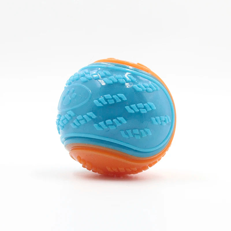 Squeaky Dog Ball Toy