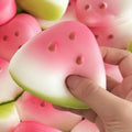 Watermelon Squishy Squeeze Toy